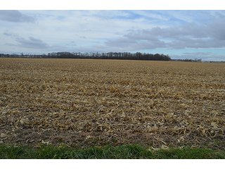 Property photo 21 - LAND AUCTION - 276.5+/- ACRES OFFERED IN 5 TRACTS IN EAST ALLEN COUNTY